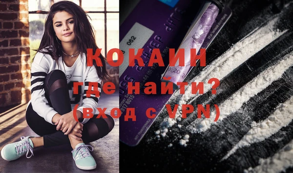 амф Горняк