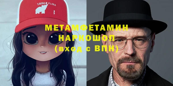 амф Горняк