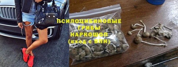 амф Горняк